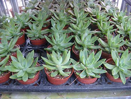 DSC02699.JPG DSC02699.JPG