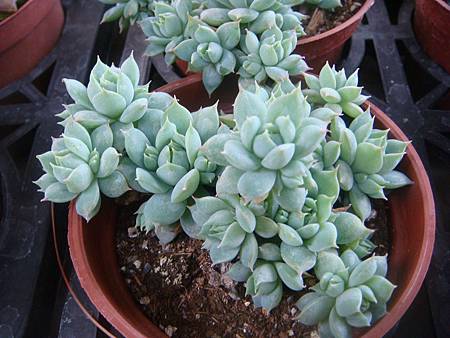 DSC02702.JPG DSC02702.JPG