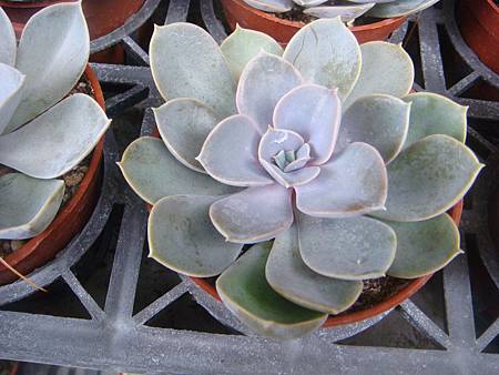 DSC02709.JPG DSC02709.JPG