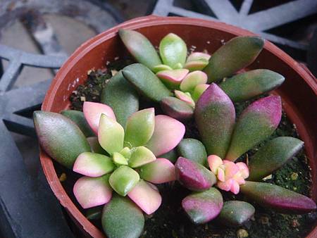 DSC02719.JPG DSC02719.JPG