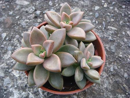 DSC02773.JPG DSC02773.JPG