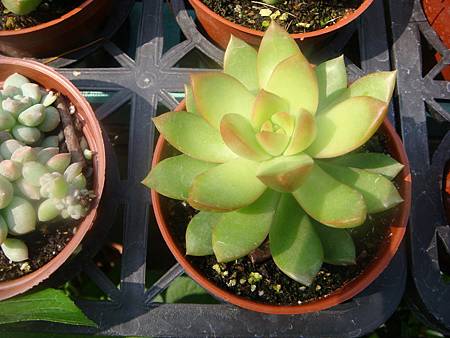 DSC02860.JPG DSC02860.JPG