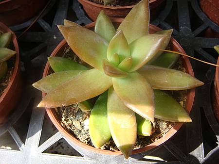 DSC02861.JPG DSC02861.JPG