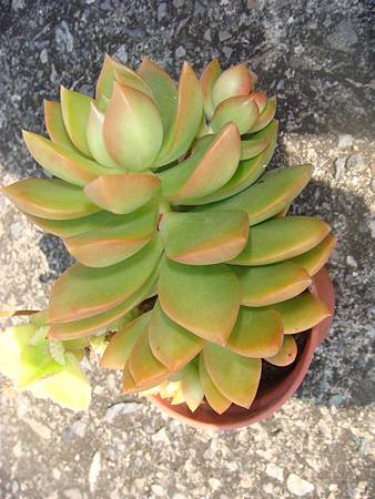 DSC02648.JPG DSC02648.JPG