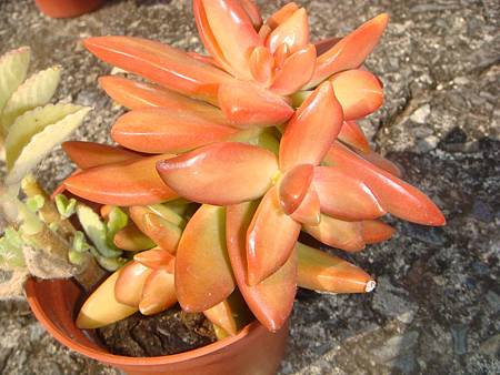 DSC02653.JPG DSC02653.JPG