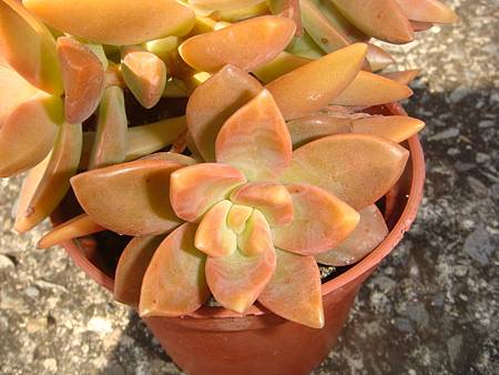 DSC02661.JPG DSC02661.JPG