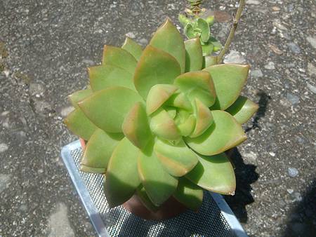 DSC02503.JPG DSC02503.JPG