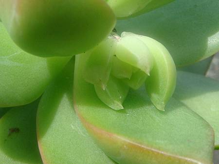 DSC02528.JPG DSC02528.JPG