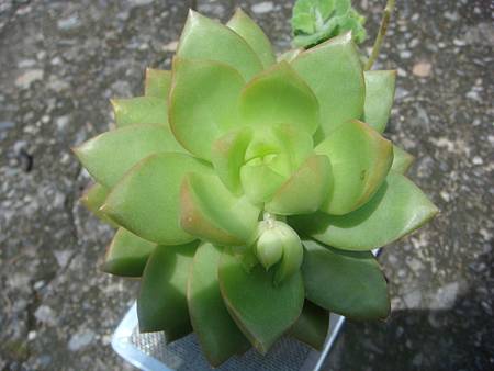 DSC02531.JPG DSC02531.JPG