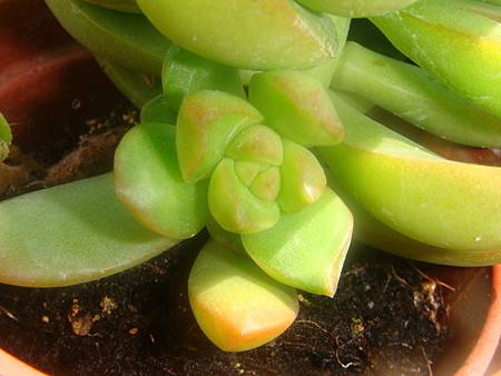 DSC02532.JPG DSC02532.JPG