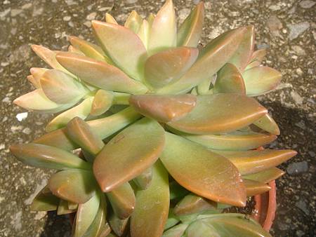 DSC02537.JPG DSC02537.JPG