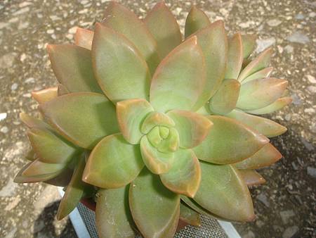 DSC02538.JPG DSC02538.JPG