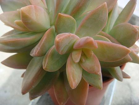 DSC02584.JPG DSC02584.JPG