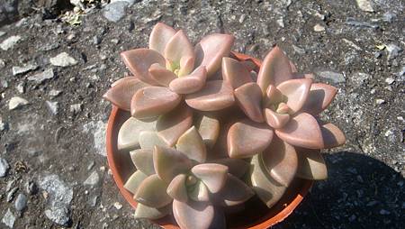 1117 (2).JPG 1117 (2).JPG