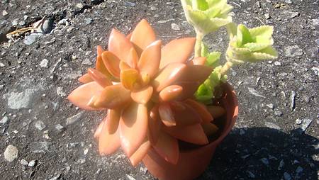 1117 (3).JPG 1117 (3).JPG