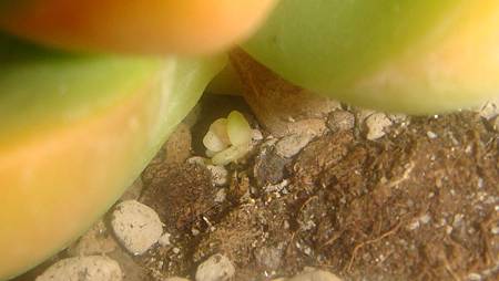 1118 (5).JPG 1118 (5).JPG