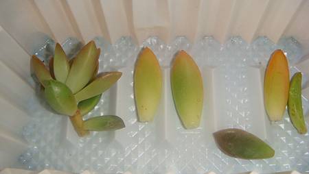 1118 (9).JPG 1118 (9).JPG