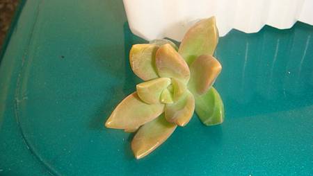 1118 (10).JPG 1118 (10).JPG