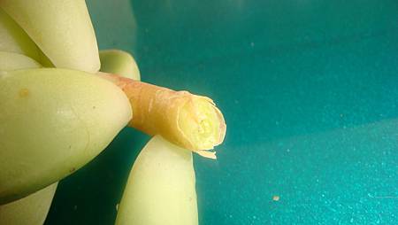 1118 (11).JPG 1118 (11).JPG