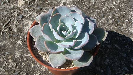 1129 (4).JPG 1129 (4).JPG