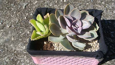 1129 (5).JPG 1129 (5).JPG