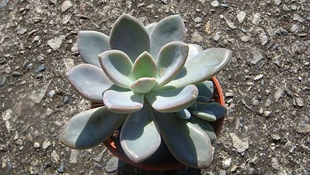 1211 (3).JPG 1211 (3).JPG