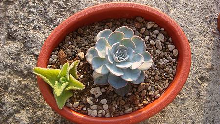 1218 (1).JPG 1218 (1).JPG