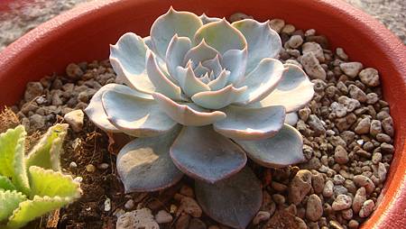 1218 (2).JPG 1218 (2).JPG