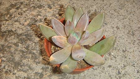 1218 (3).JPG 1218 (3).JPG