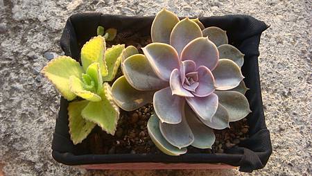 1218 (4).JPG 1218 (4).JPG