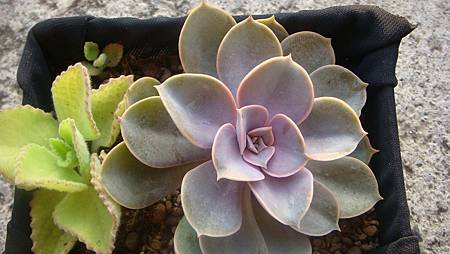 1218 (5).JPG 1218 (5).JPG