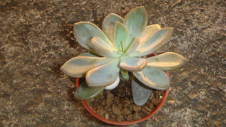 1218 (7).JPG 1218 (7).JPG