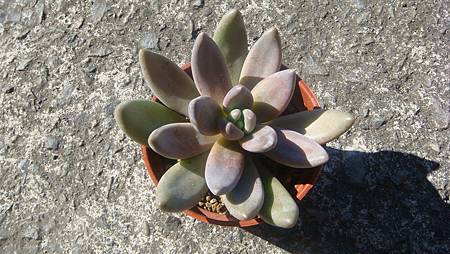 1222 (1).JPG 1222 (1).JPG