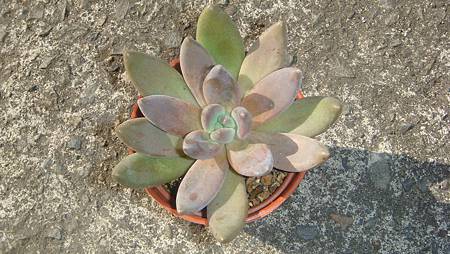 1222 (2).JPG 1222 (2).JPG