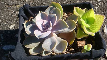 1222 (4).JPG 1222 (4).JPG