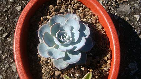 1222 (6).JPG 1222 (6).JPG