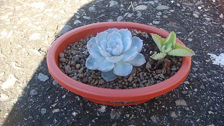 1222 (7).JPG 1222 (7).JPG