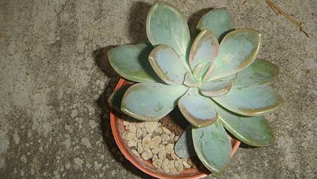 DSC03369.JPG DSC03369.JPG