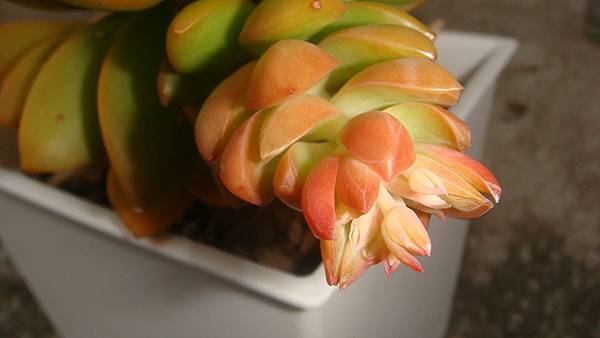 1226 (1).JPG 1226 (1).JPG