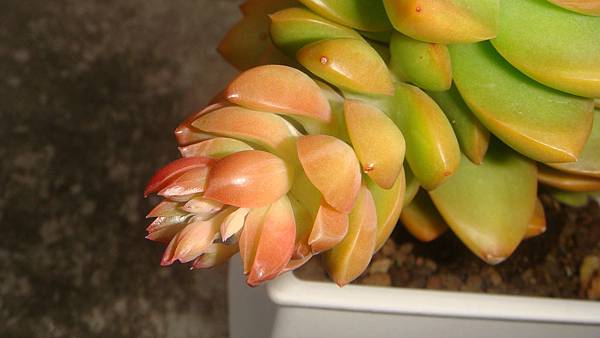 1226 (2).JPG 1226 (2).JPG