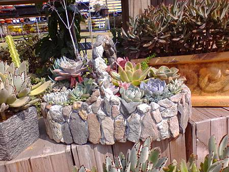 IMG_20160215_121934.jpg IMG_20160215_121934.jpg