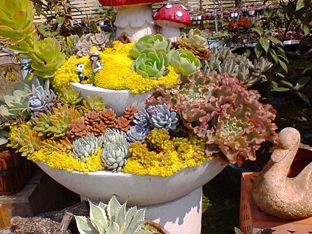 IMG_20160215_121949.jpg IMG_20160215_121949.jpg