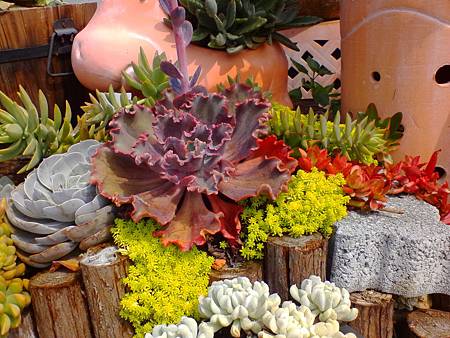 IMG_20160215_122016.jpg IMG_20160215_122016.jpg