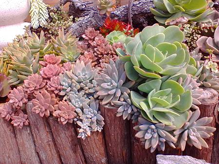 IMG_20160215_122027.jpg IMG_20160215_122027.jpg