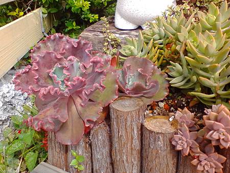 IMG_20160215_122032.jpg IMG_20160215_122032.jpg