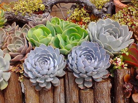 IMG_20160215_122039.jpg IMG_20160215_122039.jpg