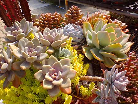 IMG_20160215_122122.jpg IMG_20160215_122122.jpg