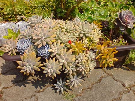 IMG_20160215_123110.jpg IMG_20160215_123110.jpg