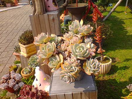 IMG_20160215_124835.jpg IMG_20160215_124835.jpg