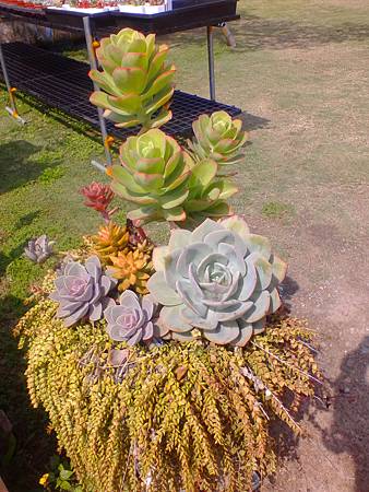 IMG_20160215_124849.jpg IMG_20160215_124849.jpg